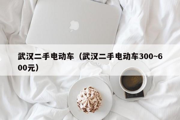 武汉二手电动车（武汉二手电动车300~600元）