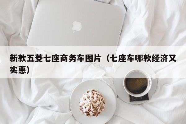 新款五菱七座商务车图片（七座车哪款经济又实惠）