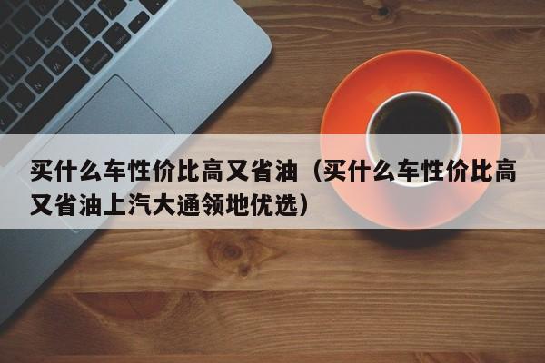 买什么车性价比高又省油（买什么车性价比高又省油上汽大通领地优选）