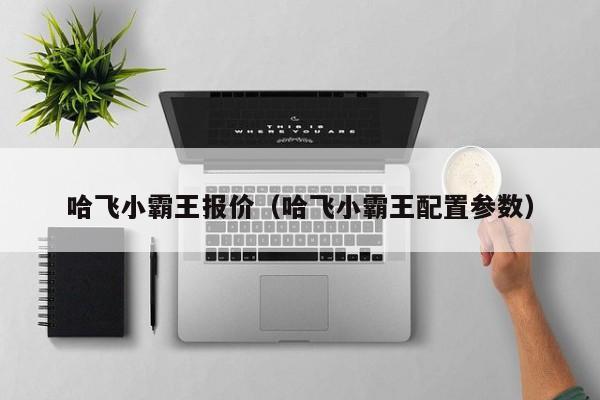 哈飞小霸王报价（哈飞小霸王配置参数）