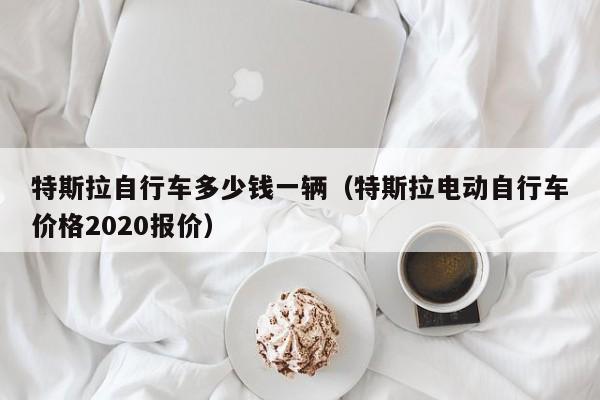 特斯拉自行车多少钱一辆（特斯拉电动自行车价格2020报价）