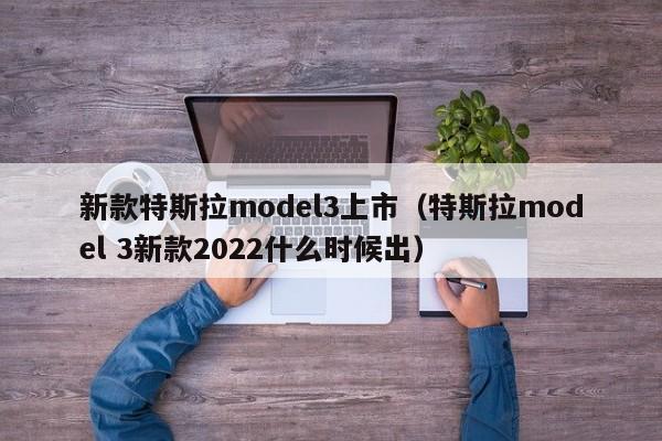 新款特斯拉model3上市（特斯拉model 3新款2022什么时候出）