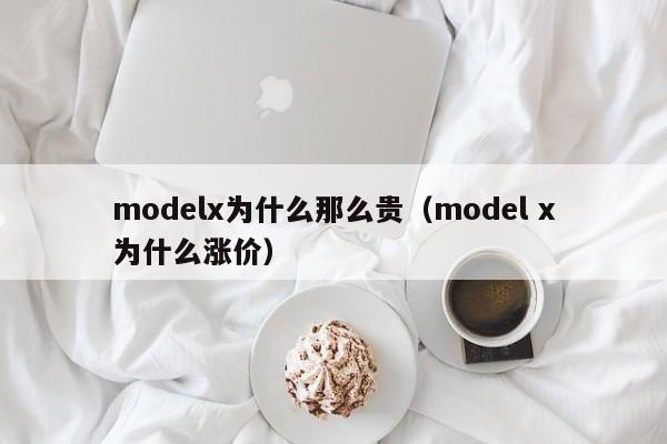 modelx为什么那么贵（model x为什么涨价）