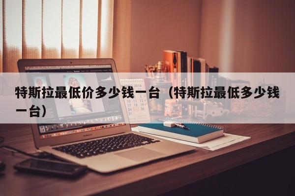 特斯拉最低价多少钱一台（特斯拉最低多少钱一台）