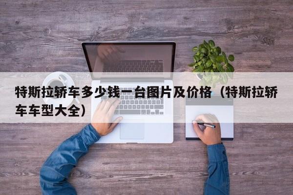 特斯拉轿车多少钱一台图片及价格（特斯拉轿车车型大全）