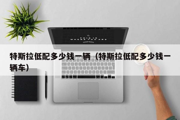 特斯拉低配多少钱一辆（特斯拉低配多少钱一辆车）