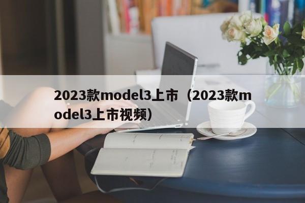 2023款model3上市（2023款model3上市视频）