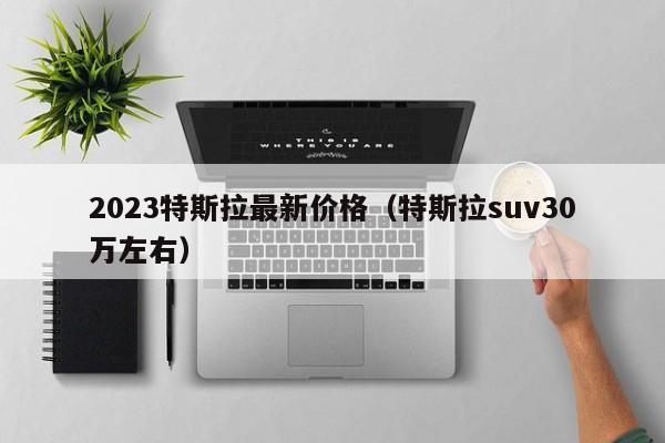 2023特斯拉最新价格（特斯拉suv30万左右）