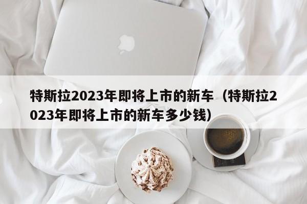 特斯拉2023年即将上市的新车（特斯拉2023年即将上市的新车多少钱）