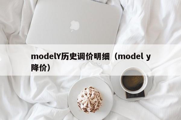 modelY历史调价明细（model y降价）
