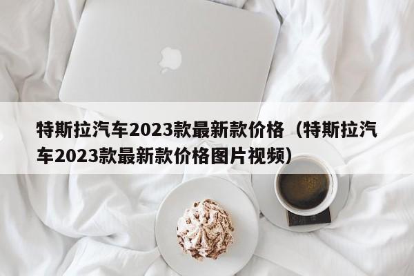 特斯拉汽车2023款最新款价格（特斯拉汽车2023款最新款价格图片视频）