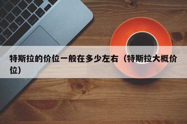 特斯拉的价位一般在多少左右（特斯拉大概价位）