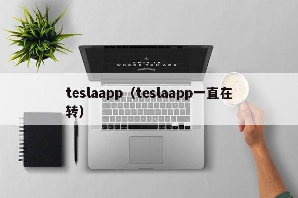 teslaapp（teslaapp一直在转）