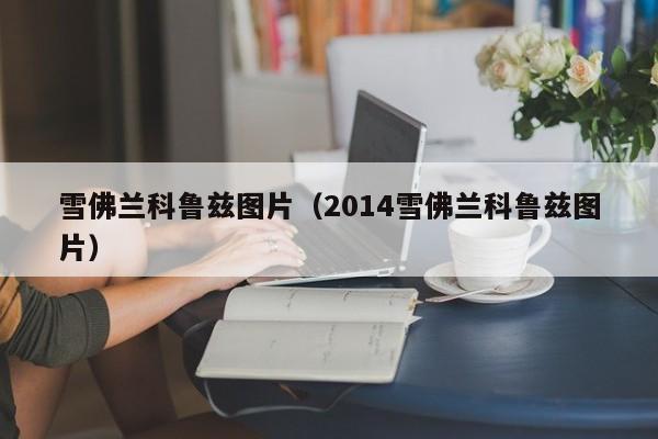 雪佛兰科鲁兹图片（2014雪佛兰科鲁兹图片）
