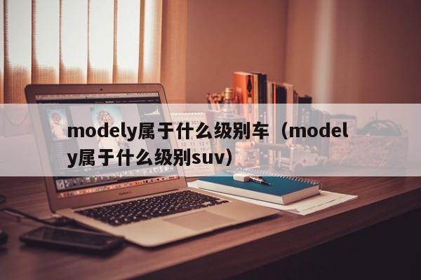 modely属于什么级别车（model y属于什么级别suv）
