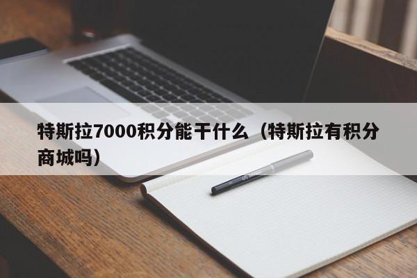 特斯拉7000积分能干什么（特斯拉有积分商城吗）
