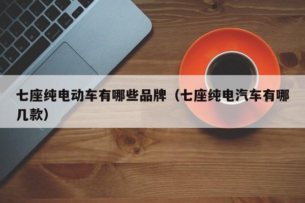 七座纯电动车有哪些品牌（七座纯电汽车有哪几款）