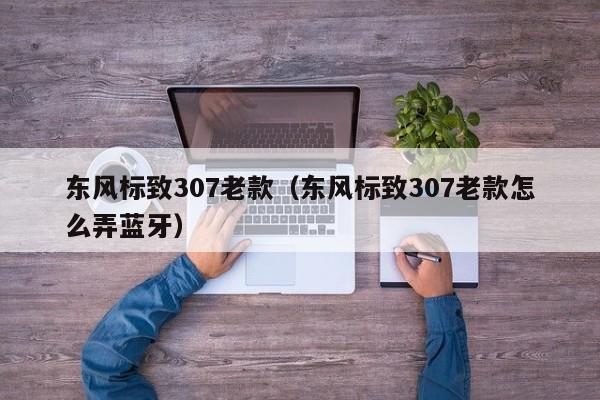东风标致307老款（东风标致307老款怎么弄蓝牙）