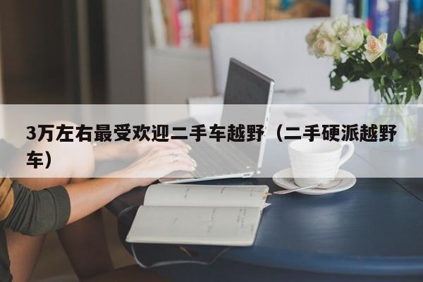 3万左右最受欢迎二手车越野（二手硬派越野车）