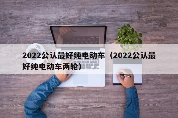 2022公认最好纯电动车（2022公认最好纯电动车两轮）