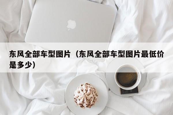 东风全部车型图片（东风全部车型图片最低价是多少）