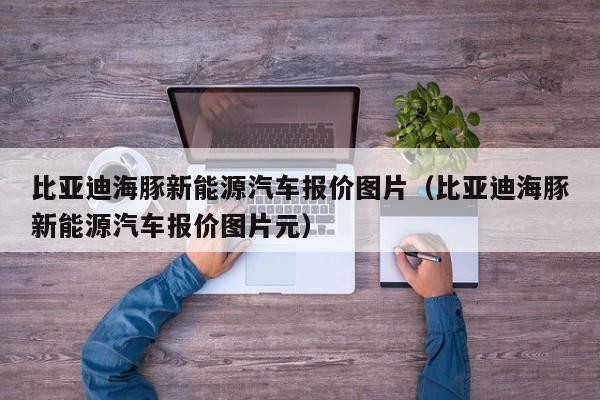 比亚迪海豚新能源汽车报价图片（比亚迪海豚新能源汽车报价图片元）