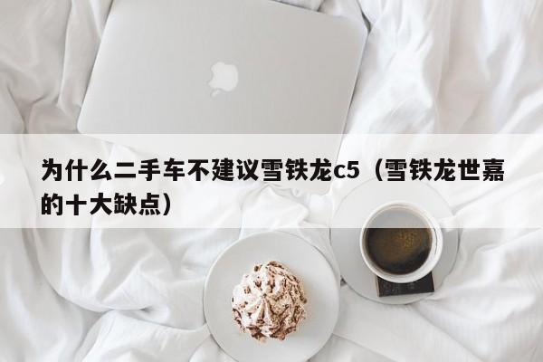 为什么二手车不建议雪铁龙c5（雪铁龙世嘉的十大缺点）
