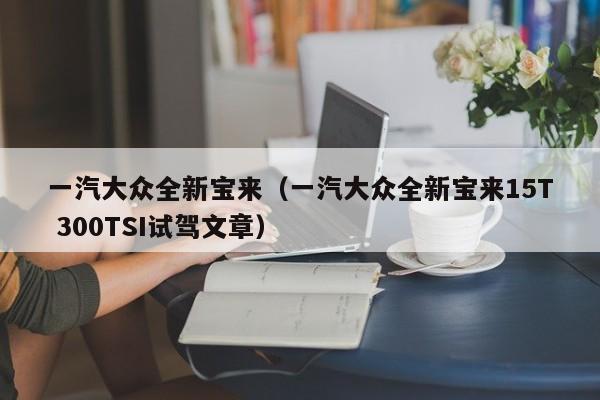一汽大众全新宝来（一汽大众全新宝来15T 300TSI试驾文章）