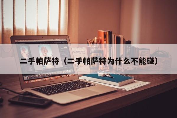 二手帕萨特（二手帕萨特为什么不能碰）