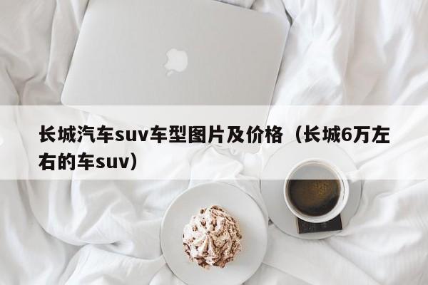 长城汽车suv车型图片及价格（长城6万左右的车suv）
