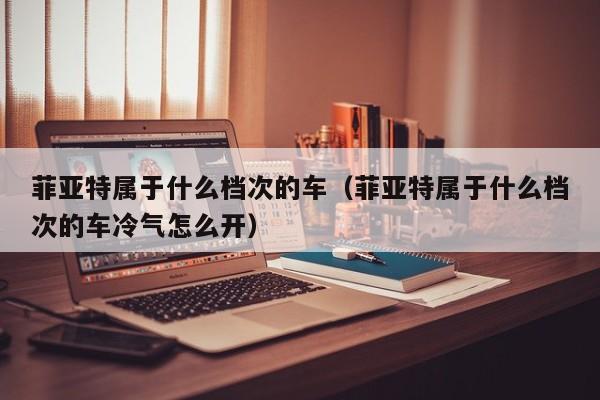 菲亚特属于什么档次的车（菲亚特属于什么档次的车冷气怎么开）