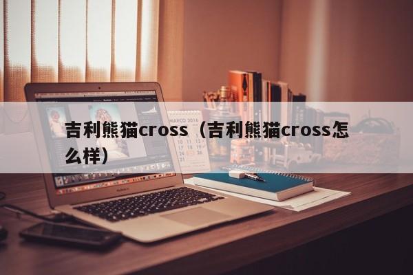 吉利熊猫cross（吉利熊猫cross怎么样）