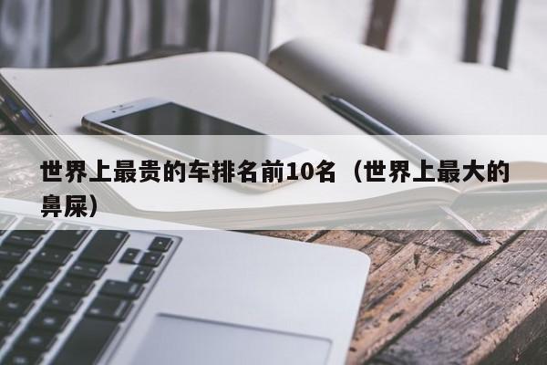 世界上最贵的车排名前10名（世界上最大的鼻屎）