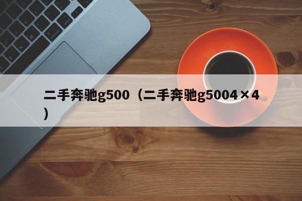 二手奔驰g500（二手奔驰g5004×4）