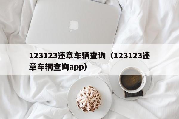 123123违章车辆查询（123123违章车辆查询app）