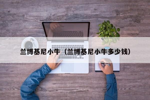 兰博基尼小牛（兰博基尼小牛多少钱）