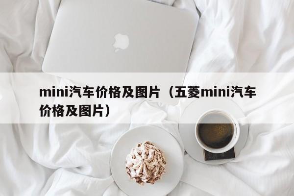 mini汽车价格及图片（五菱mini汽车价格及图片）