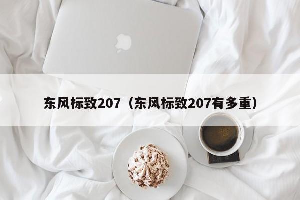 东风标致207（东风标致207有多重）