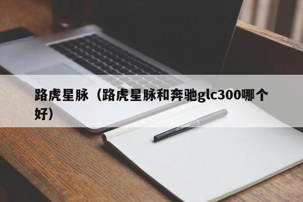 路虎星脉（路虎星脉和奔驰glc300哪个好）