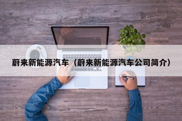 蔚来新能源汽车（蔚来新能源汽车公司简介）