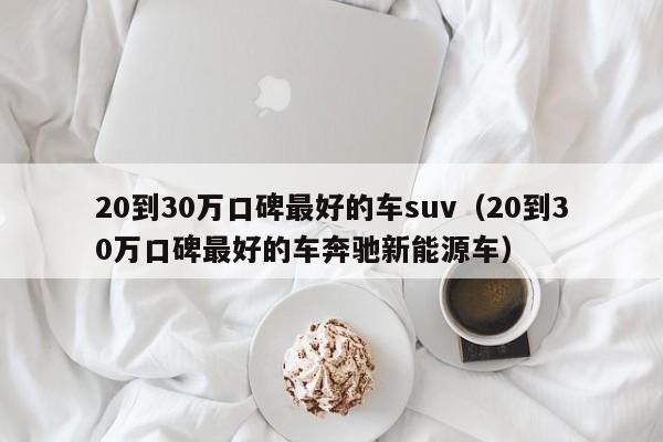20到30万口碑最好的车suv（20到30万口碑最好的车奔驰新能源车）