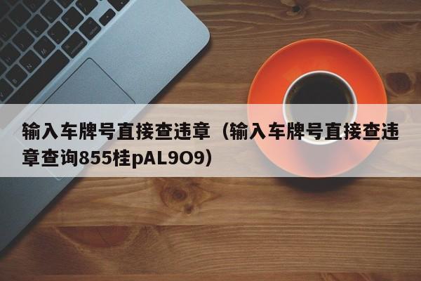 输入车牌号直接查违章（输入车牌号直接查违章查询855桂pAL9O9）